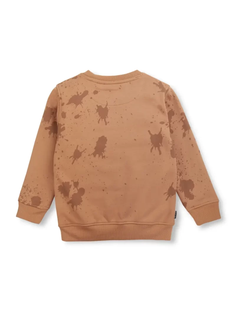 Boys Blue Cotton Printed Sweatshirt