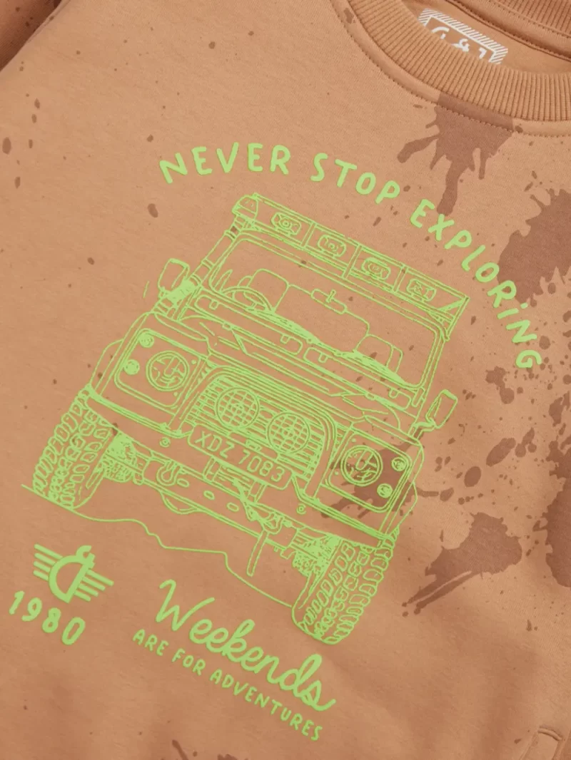 Boys Blue Cotton Printed Sweatshirt