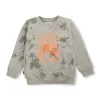 Boys Blue Cotton Printed Sweatshirt