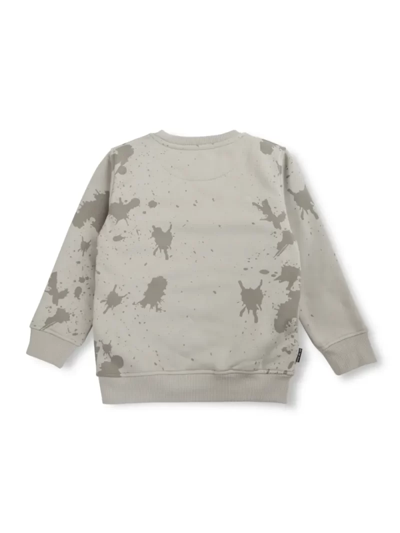 Boys Blue Cotton Printed Sweatshirt