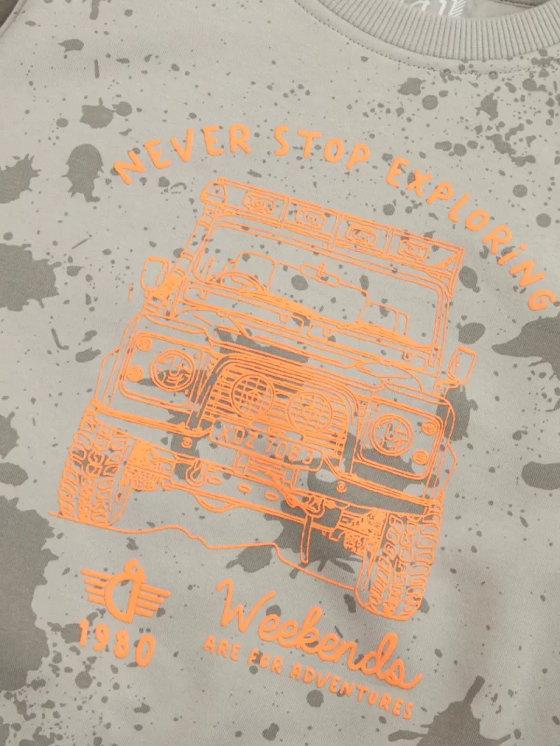 Boys Blue Cotton Printed Sweatshirt