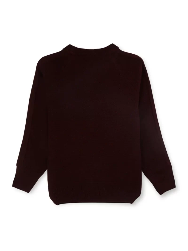 Gini And Jony Cotton Full Sleeves Pullover Logo Print