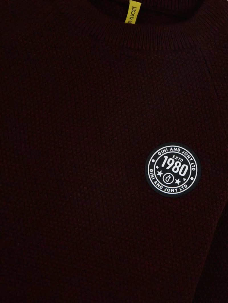 Gini And Jony Cotton Full Sleeves Pullover Logo Print