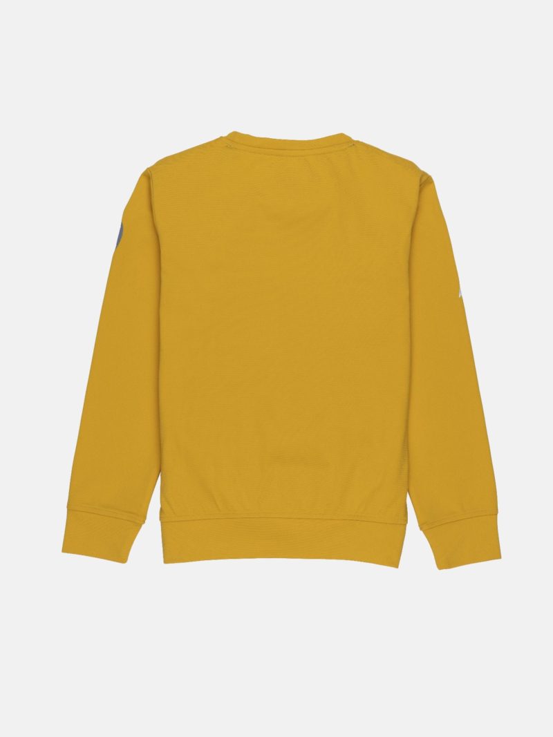 Boys Solid Round Neck Sweatshirt