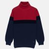Status Quo Boys Solid Turtle Neck Sweater