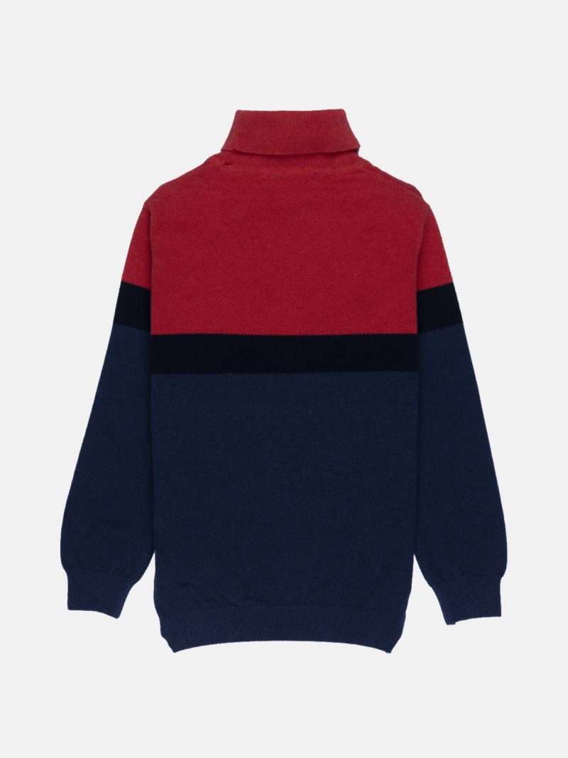 Status Quo Boys Solid Turtle Neck Sweater