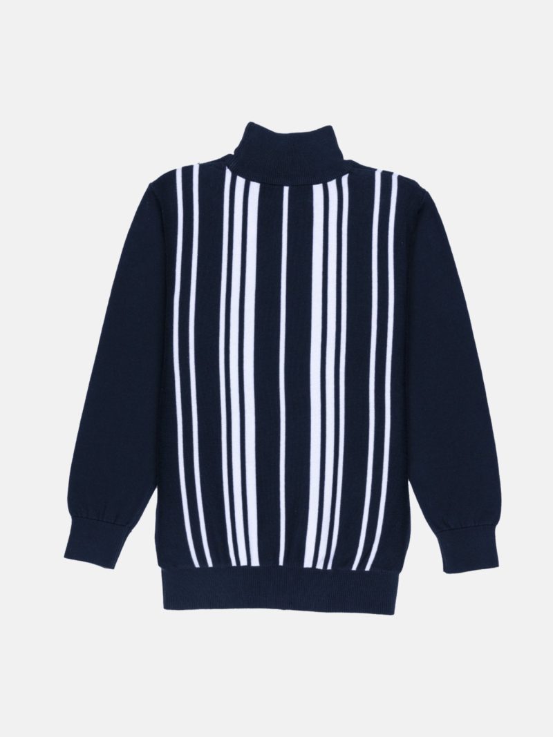 Boys Striped Turtle Neck Sweater