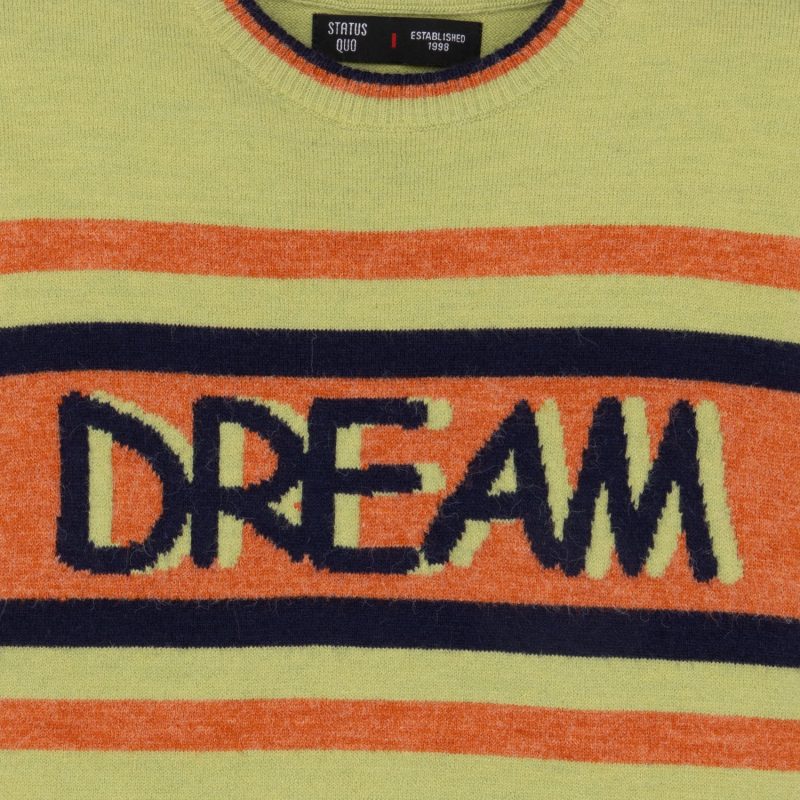 Boys Printed Round Neck Sweater