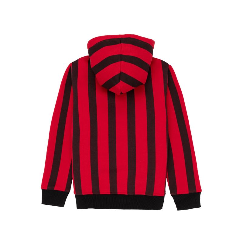 Boys Striped Hooded Sweatshirt