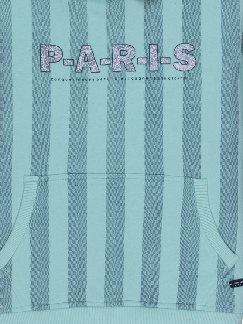 Boys Striped Hooded Sweatshirt