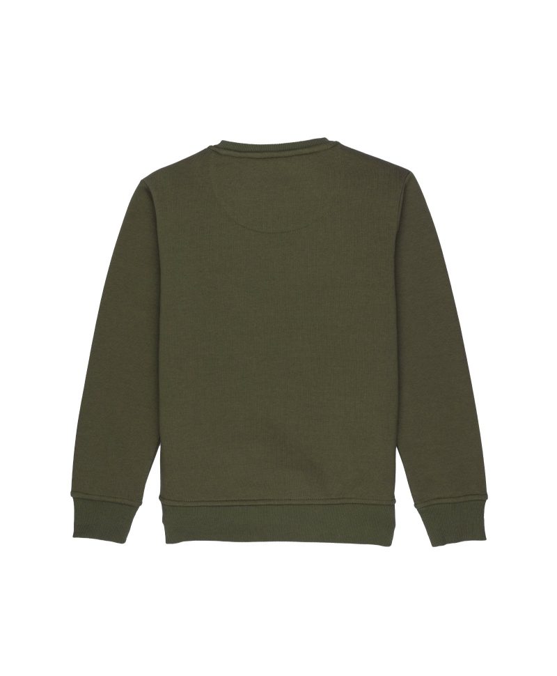Boys Printed Round Neck Sweatshirt