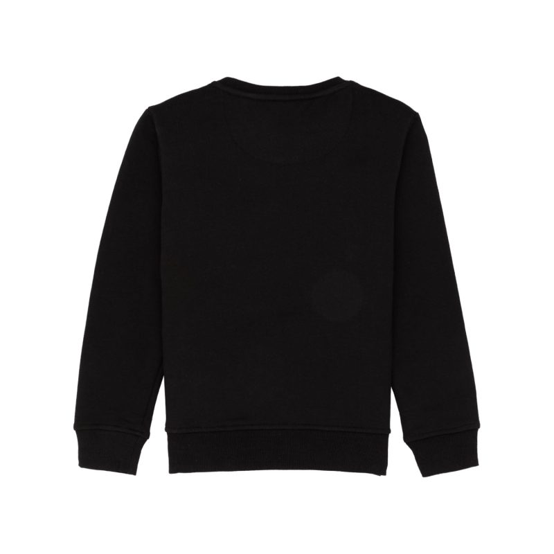 Boys Solid Round Neck Sweatshirt