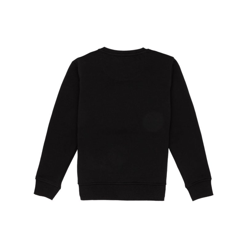 Boys Printed Round Neck Sweatshirt