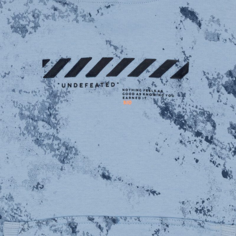 Boys Printed Sweatshirt With Hoodie