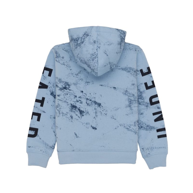 Boys Printed Sweatshirt With Hoodie