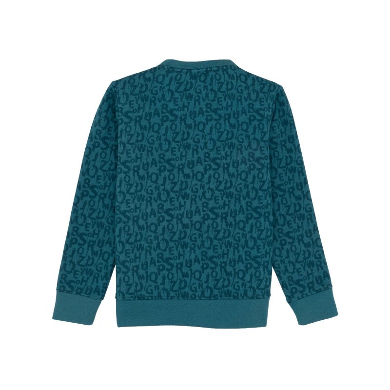 Boys Printed Round Neck Sweatshirt
