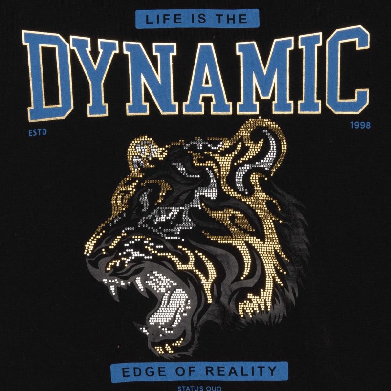 Boys Printed Sweatshirt With Hoodie