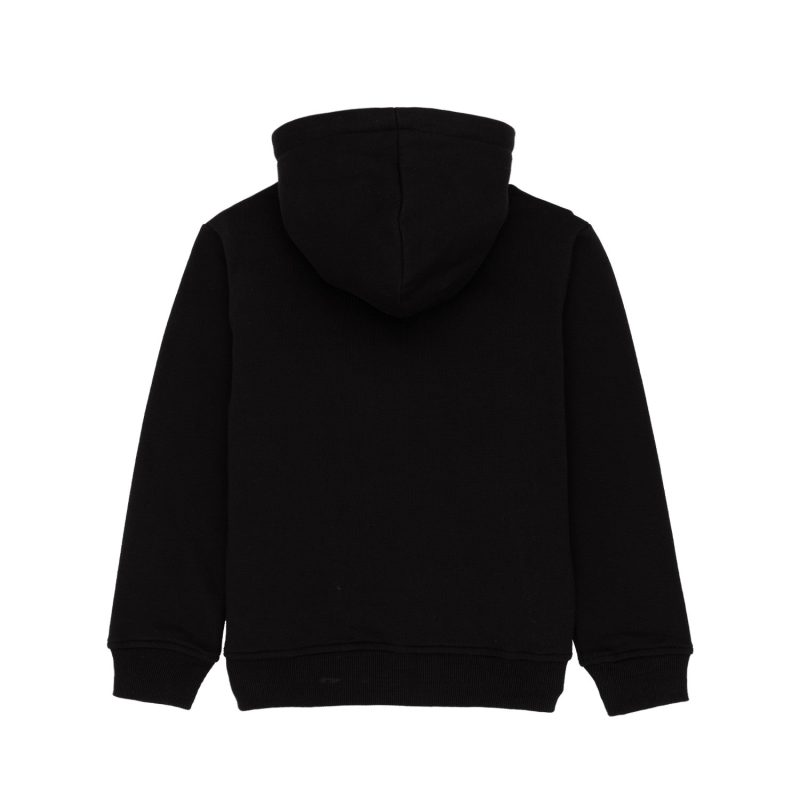 Boys Printed Sweatshirt With Hoodie