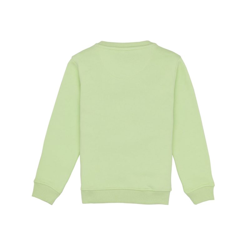 Boys Printed Round Neck Sweatshirt