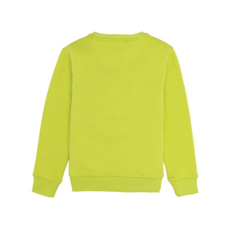 Boys Printed Round Neck Sweatshirt