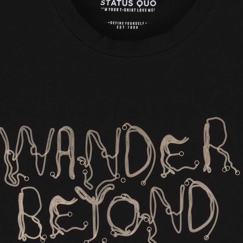 Status Quo Boys Typography Print Round Neck Half Sleeves Regular Fit Tshirt