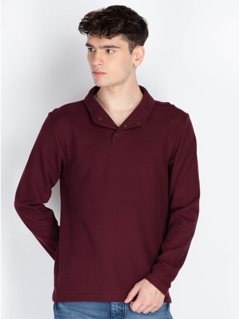 Mens Solid High Neck T-Shirt