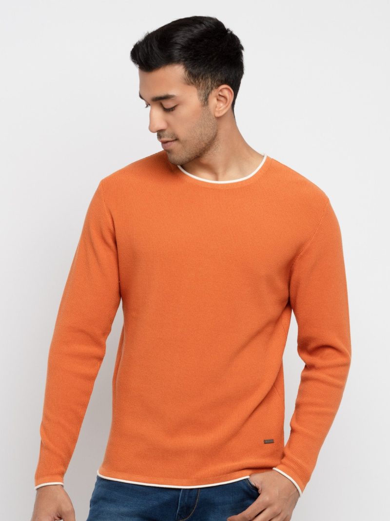 Mens Solid Round Neck Sweater