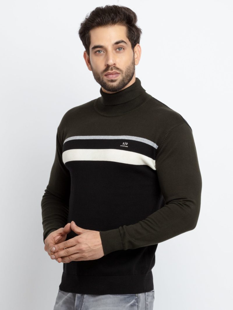 Mens Striped Turtle Neck Sweater