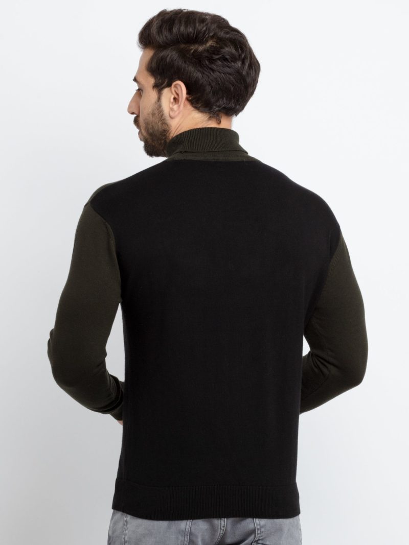 Mens Striped Turtle Neck Sweater