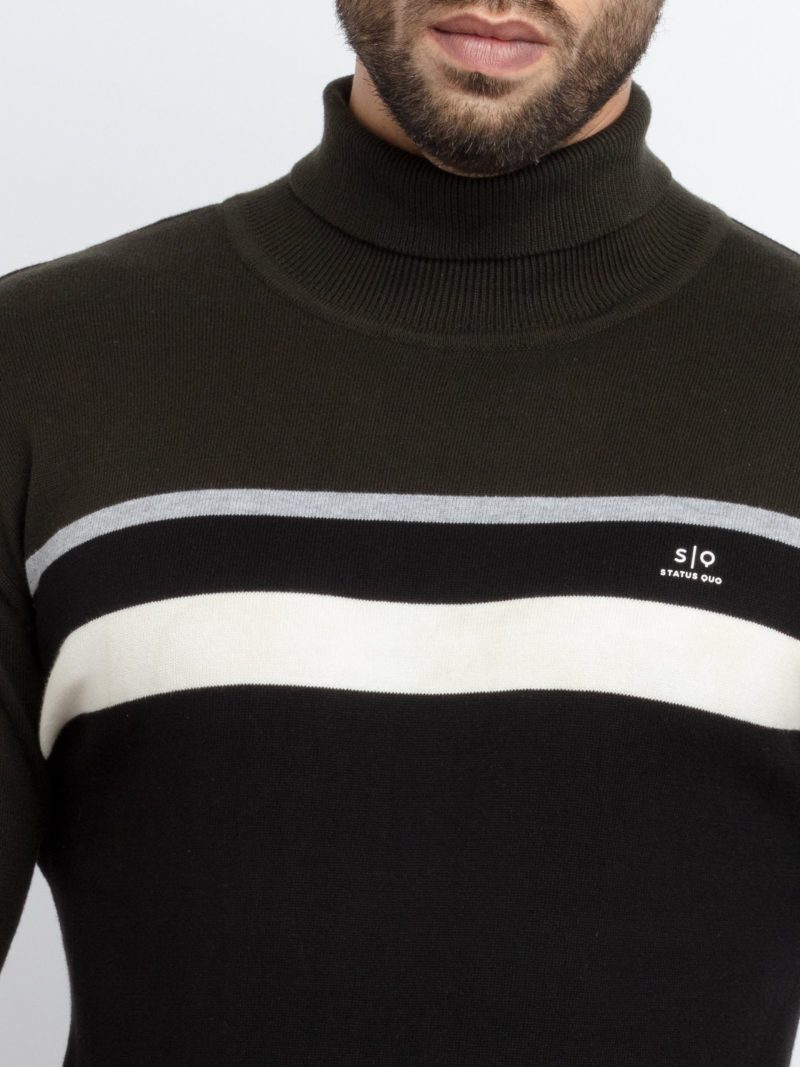 Mens Striped Turtle Neck Sweater