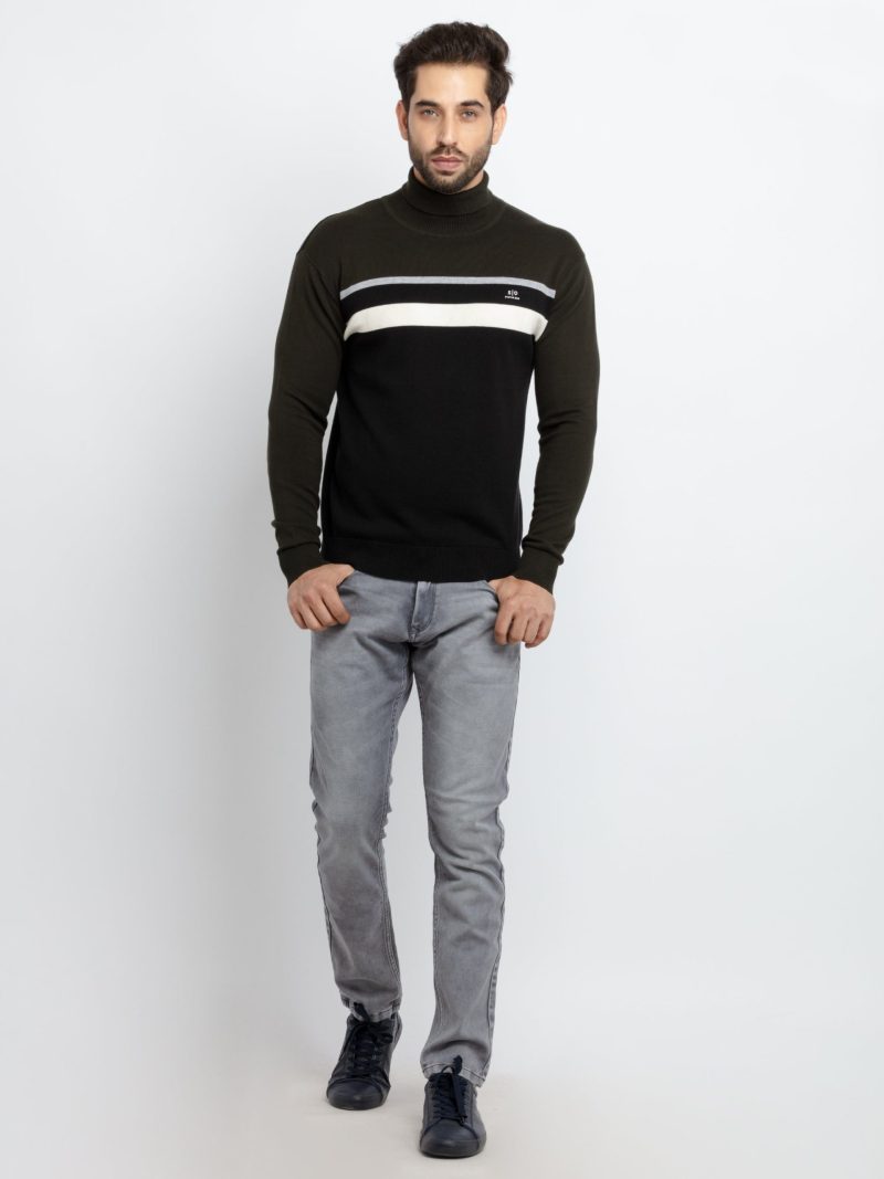 Mens Striped Turtle Neck Sweater