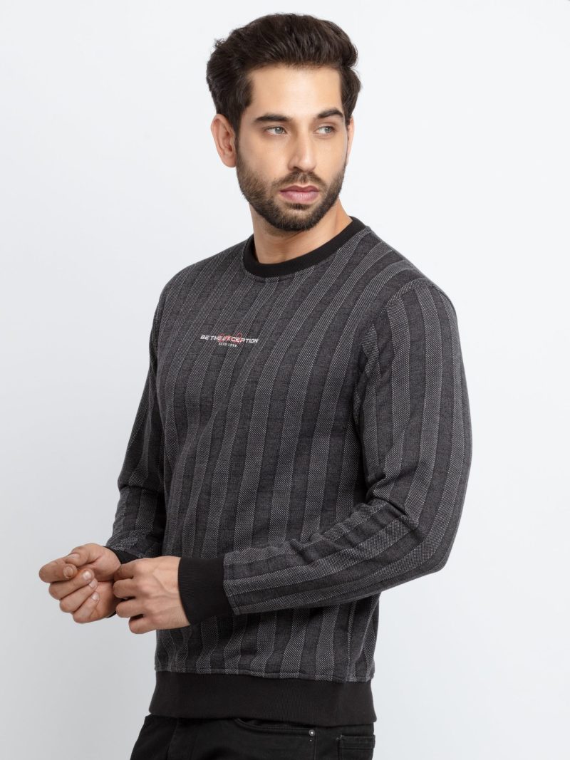 Mens Regular Fit Round Neck Striped T-Shirt
