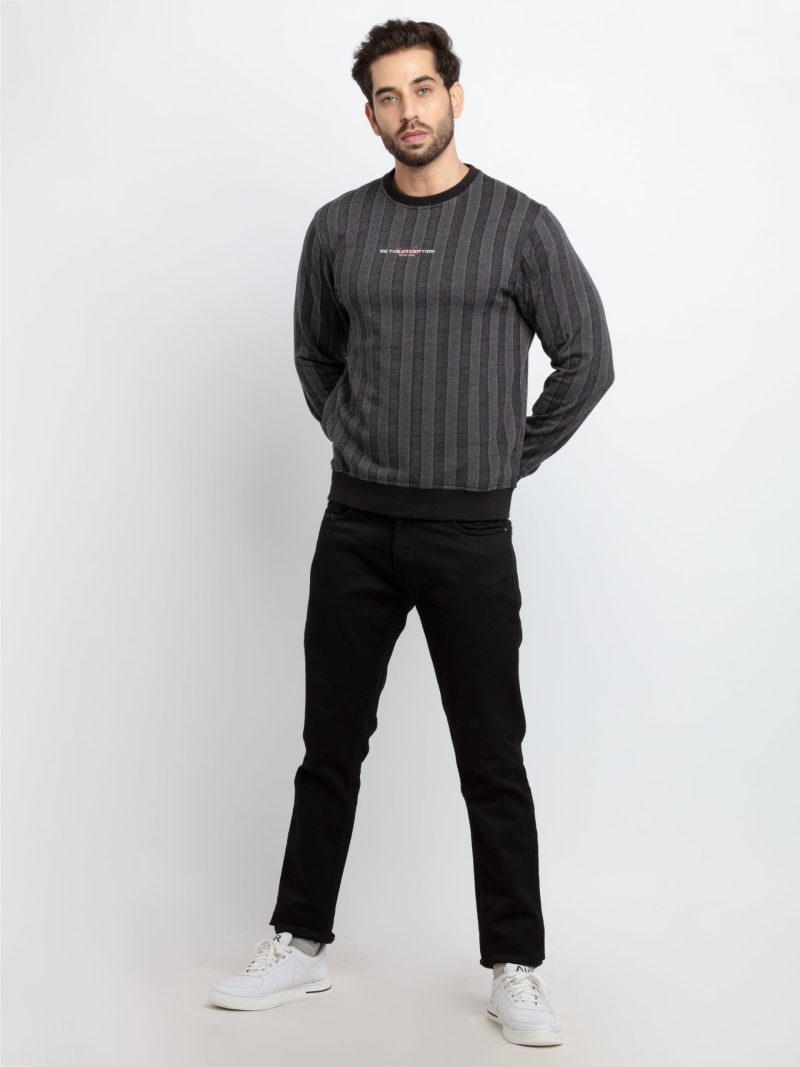 Mens Regular Fit Round Neck Striped T-Shirt