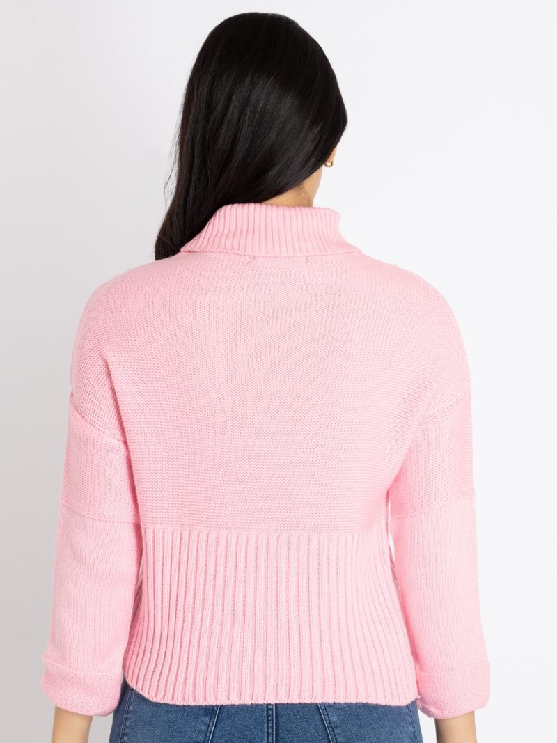 Womens Solid Turtle Neck Sweater