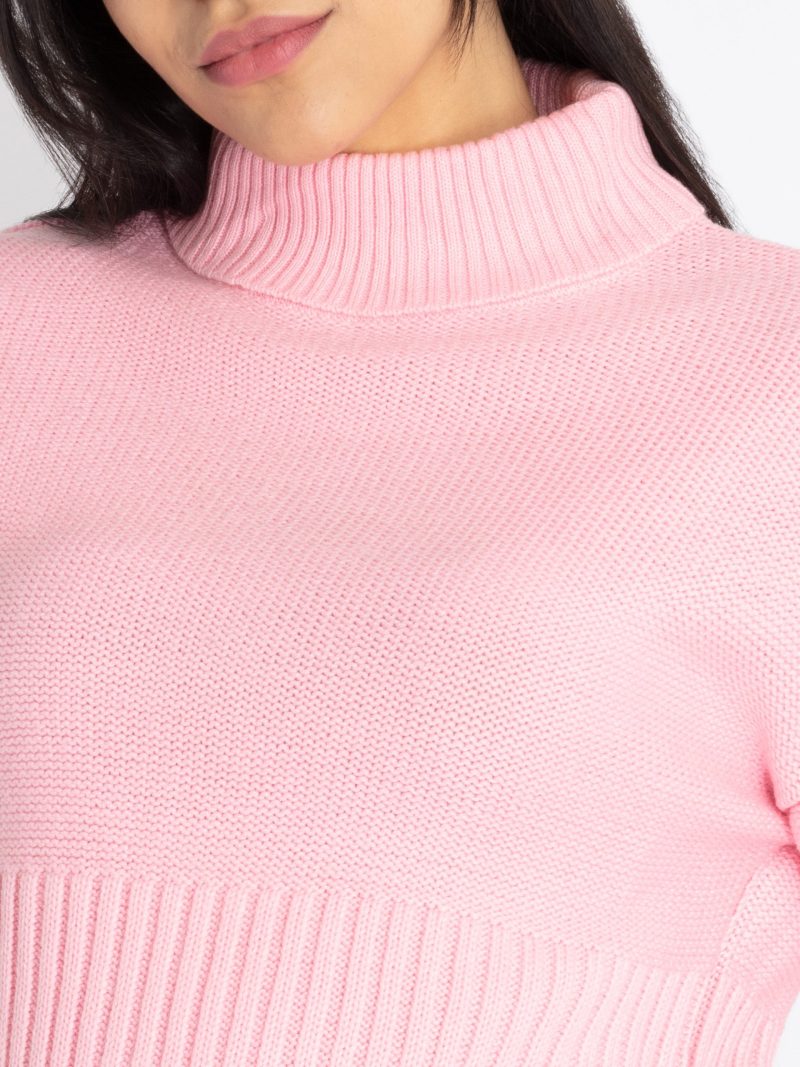 Womens Solid Turtle Neck Sweater