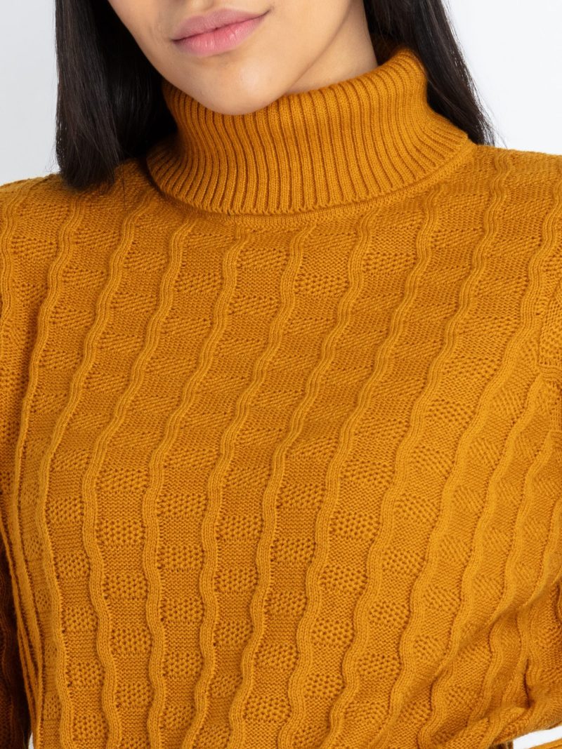 Womens Solid High Neck Sweater