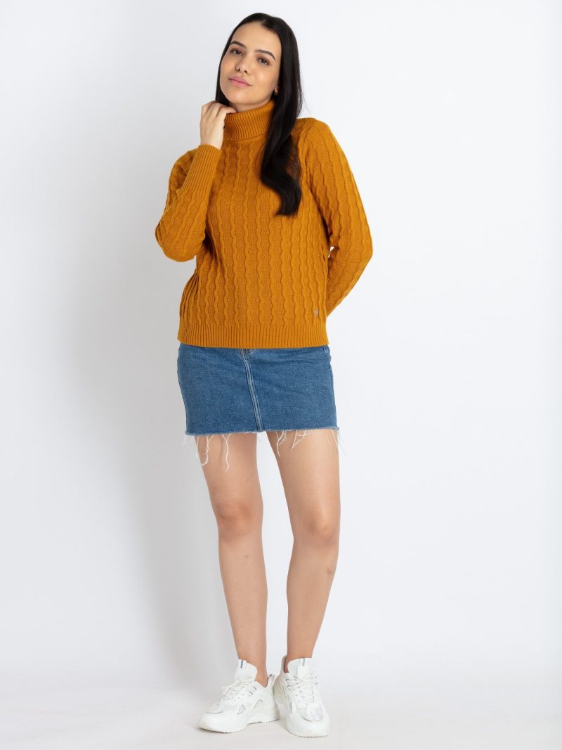 Womens Solid High Neck Sweater