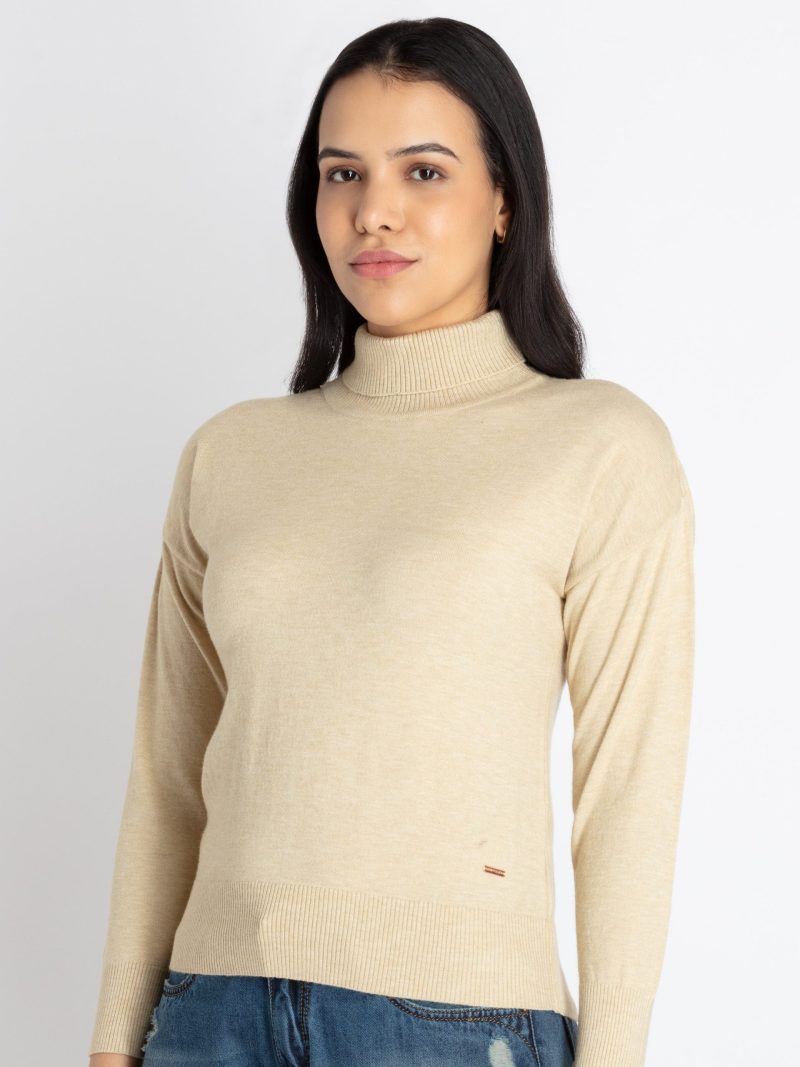 Womens Solid Turtle Neck Sweater