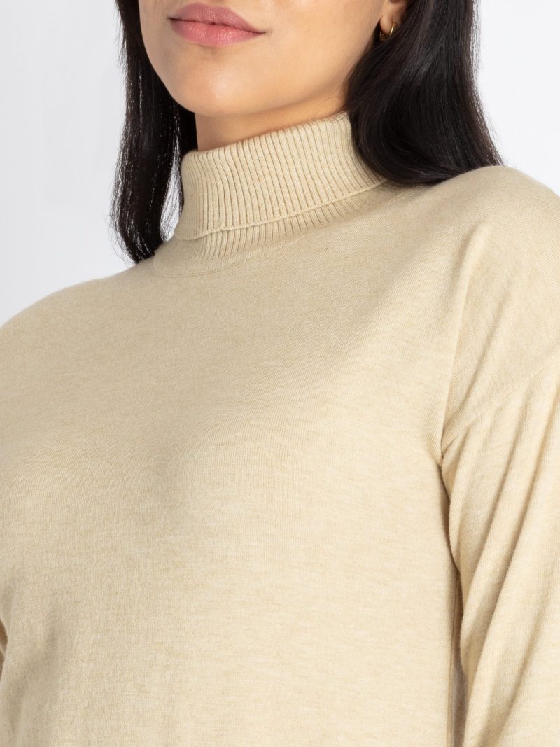 Womens Solid Turtle Neck Sweater