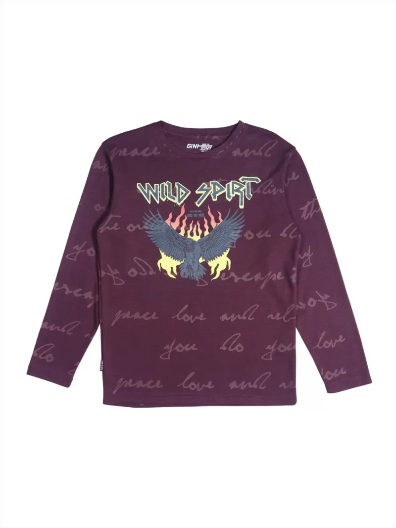Gini And Jony Boys Burgundy Graphic Print Cotton T-Shirt Full Sleeves