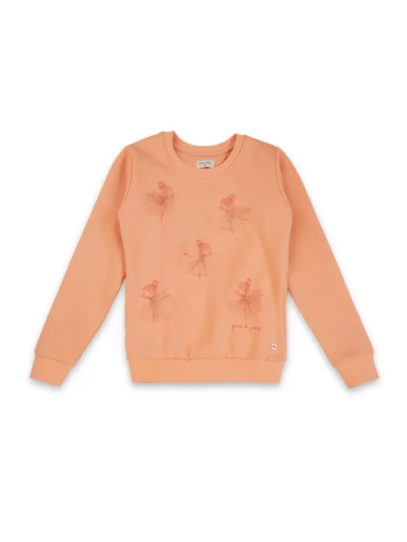 Boys Cotton Printed Sweatshirt