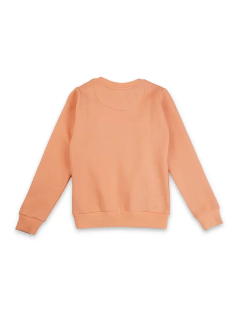 Boys Cotton Printed Sweatshirt