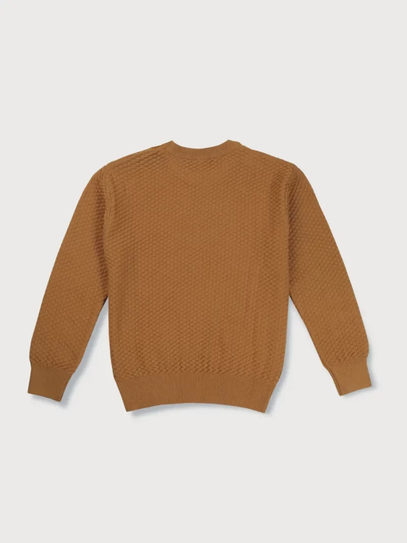 Gini And Jony Cotton Full Sleeves Pullover Logo Print