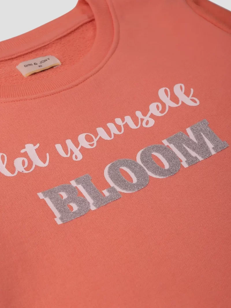 Boys Cotton Printed Sweatshirt