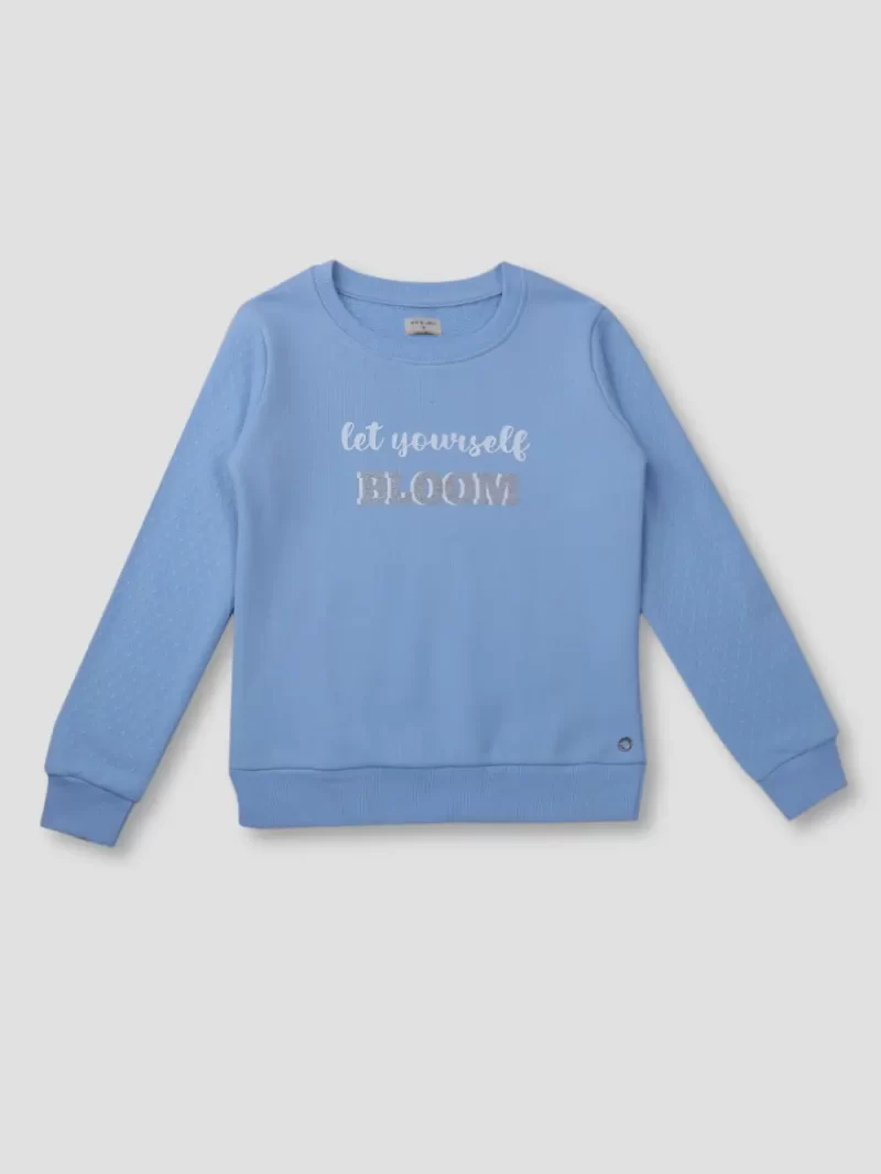 Boys Blue Cotton Printed Sweatshirt