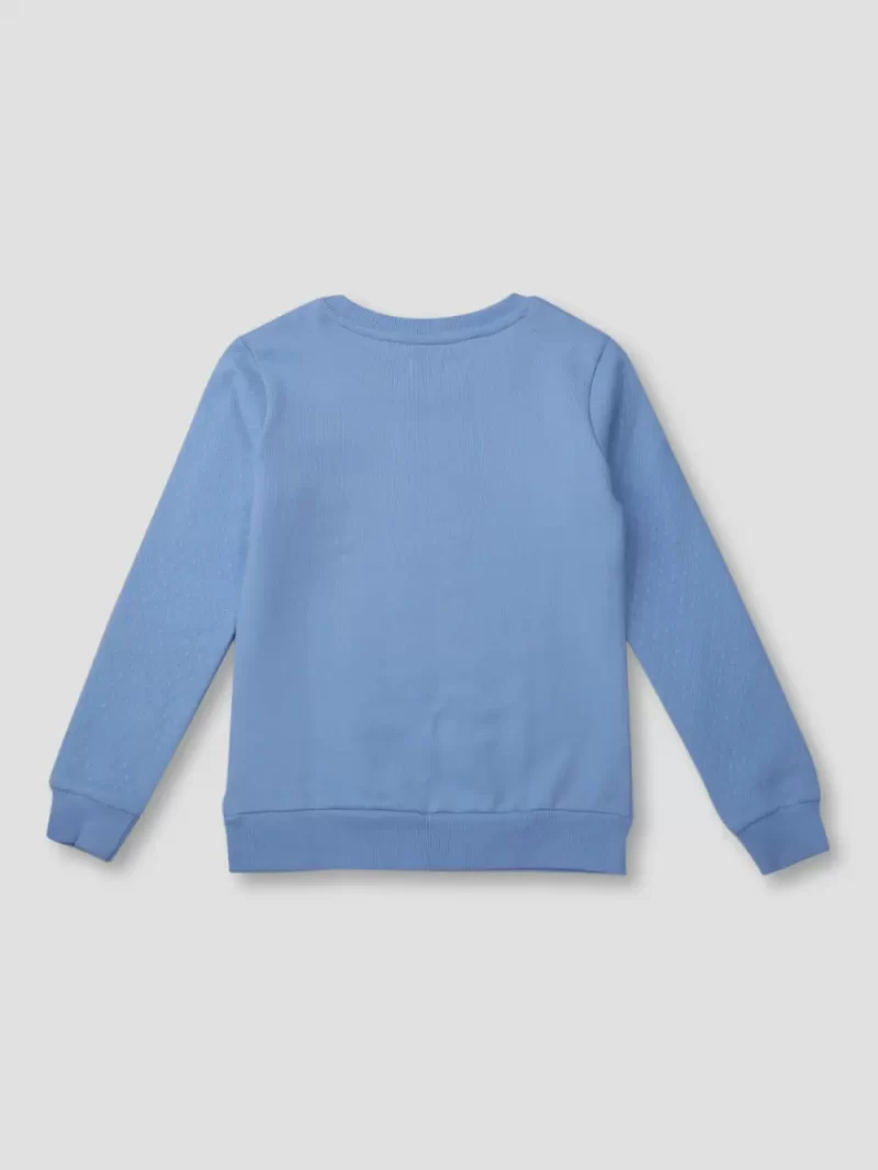 Boys Blue Cotton Printed Sweatshirt