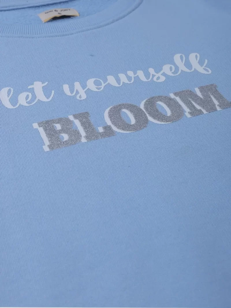 Boys Blue Cotton Printed Sweatshirt