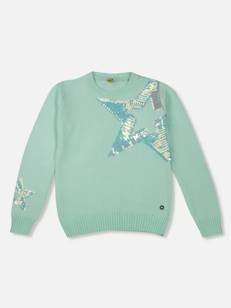 Gini And Jony Girls Green Sequin Acrylic Sweater Full Sleeves