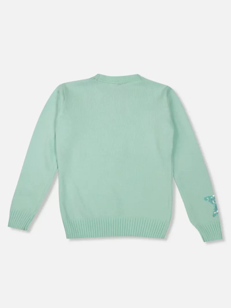 Gini And Jony Girls Green Sequin Acrylic Sweater Full Sleeves