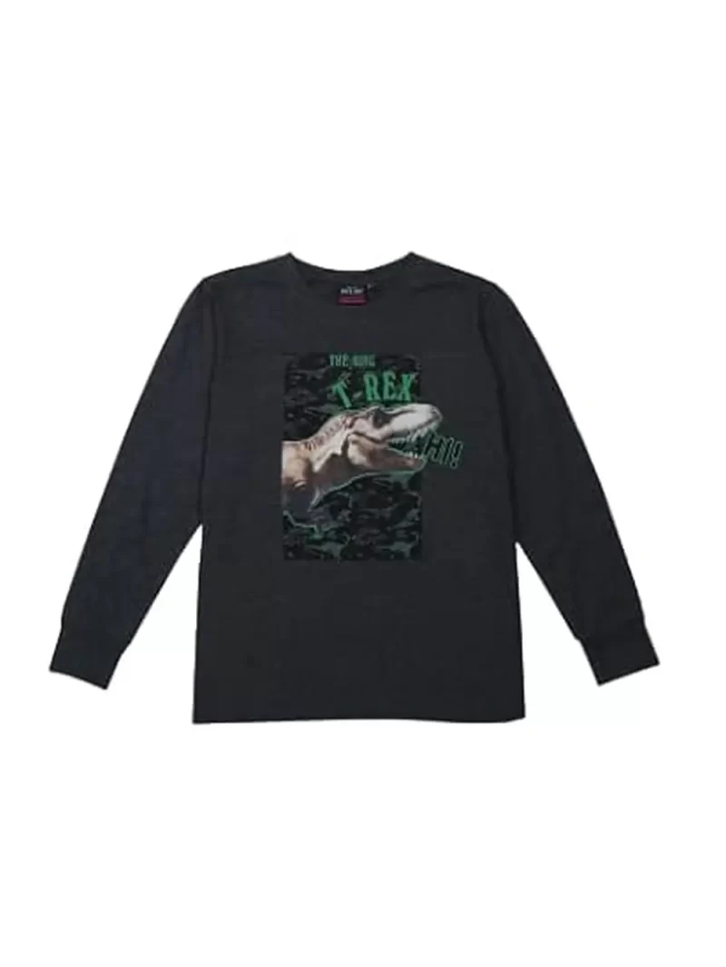 Gini & Jony Boy'S Printed Regular Fit T-Shirt